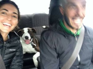 dog love